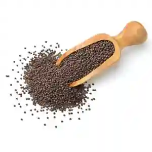 Mustard seeds (200g)